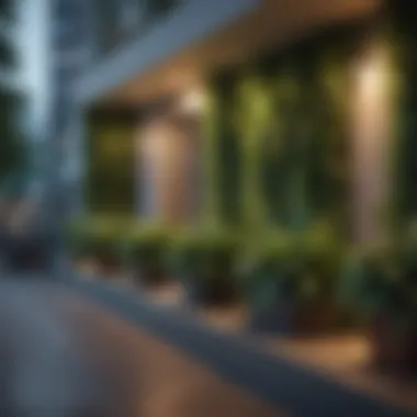 Lush greenery creating a natural privacy barrier on a balcony