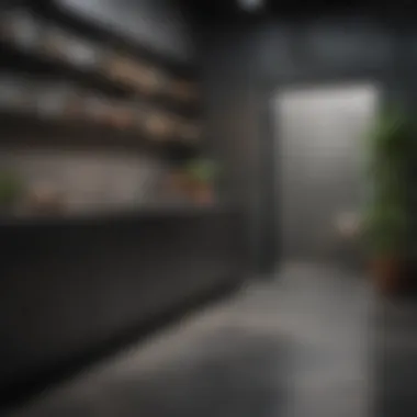 Contrast of dark cabinets and polished concrete flooring