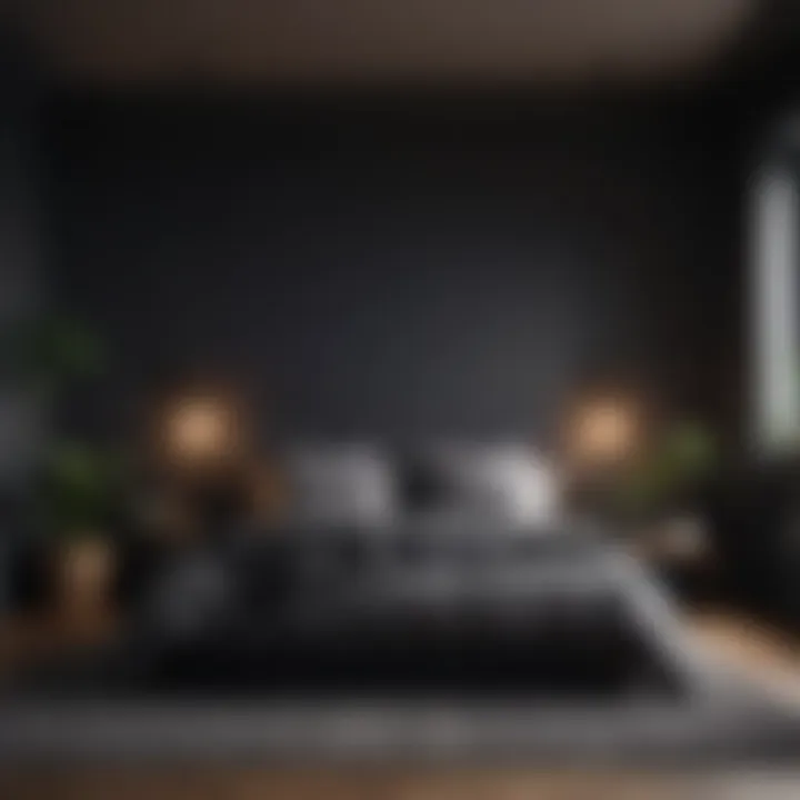 Cozy minimalist black bedroom space