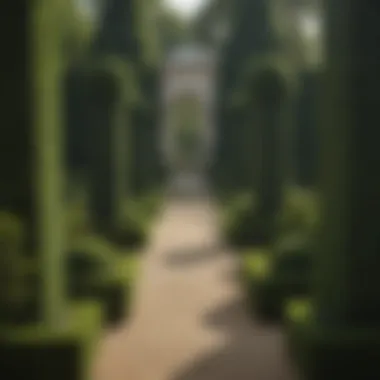 Sophisticated Structure of Formal Gardens An elegant formal garden featuring symmetrical designs and manicured hedges.