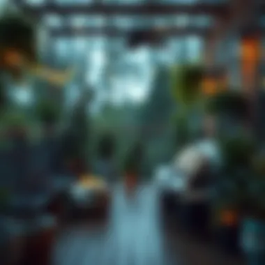 Cozy Deck with Plants and Lighting A cozy deck adorned with potted plants and lighting