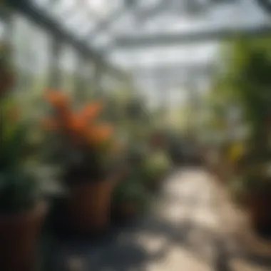 Diverse plants thriving in a greenhouse environment