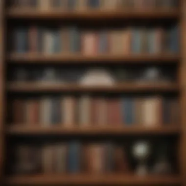Vintage-inspired bookshelf made of reclaimed wood