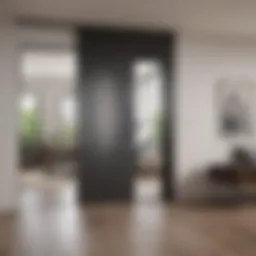 Elegant sliding door creating a seamless division between spaces