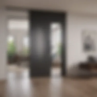 Elegant sliding door creating a seamless division between spaces