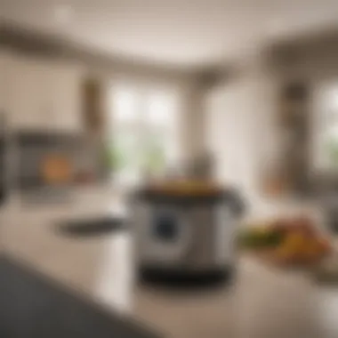 Stylish Kitchen with a Featured Crockpot A beautifully designed kitchen featuring a prominent crockpot