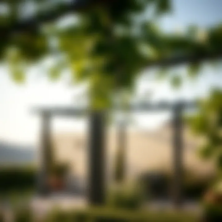 Notable Exploring Modern Trellises: Design, Function, and Aesthetic Appeal