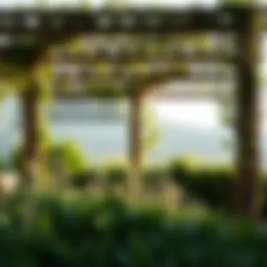 Exploring Modern Trellises: Design, Function, and Aesthetic Appeal Summary