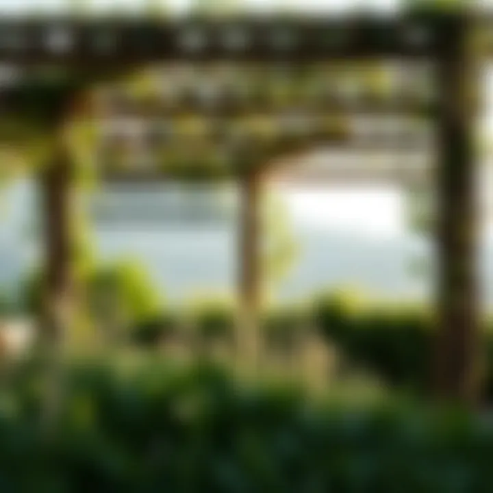 Exploring Modern Trellises: Design, Function, and Aesthetic Appeal Summary