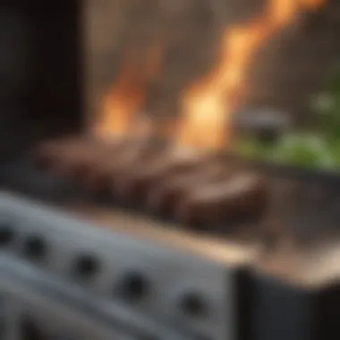 Electric Grill: The Modern Culinary Companion Modern electric grill highlighting convenience and efficiency