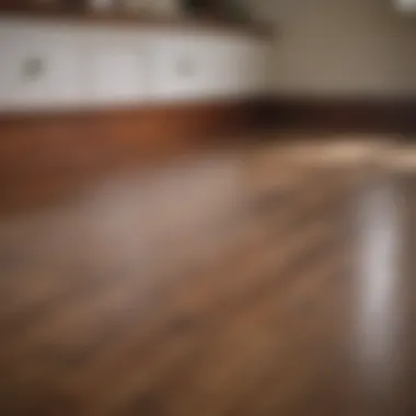 A maintenance guide for post-refinishing care of hardwood floors