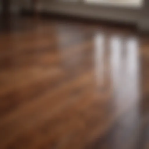 A beautifully refinished hardwood floor showcasing a glossy finish