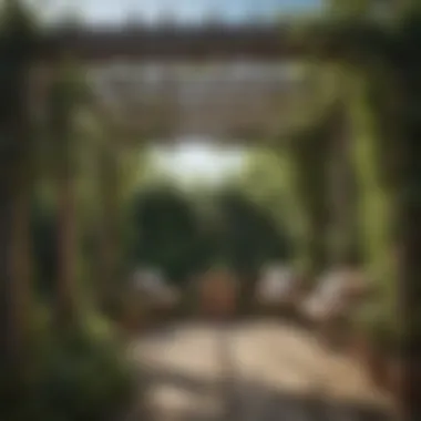 Wooden Pergola with Natural Shade Wooden pergola adorned with climbing plants