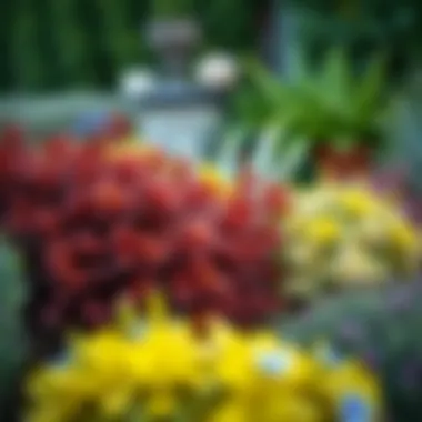 Diverse Species in Landscaped Backyard Different species of privacy shrubs showcased in a landscaped backyard