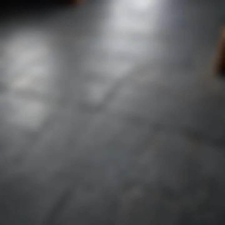 Close-up of textured slate flooring in an entryway