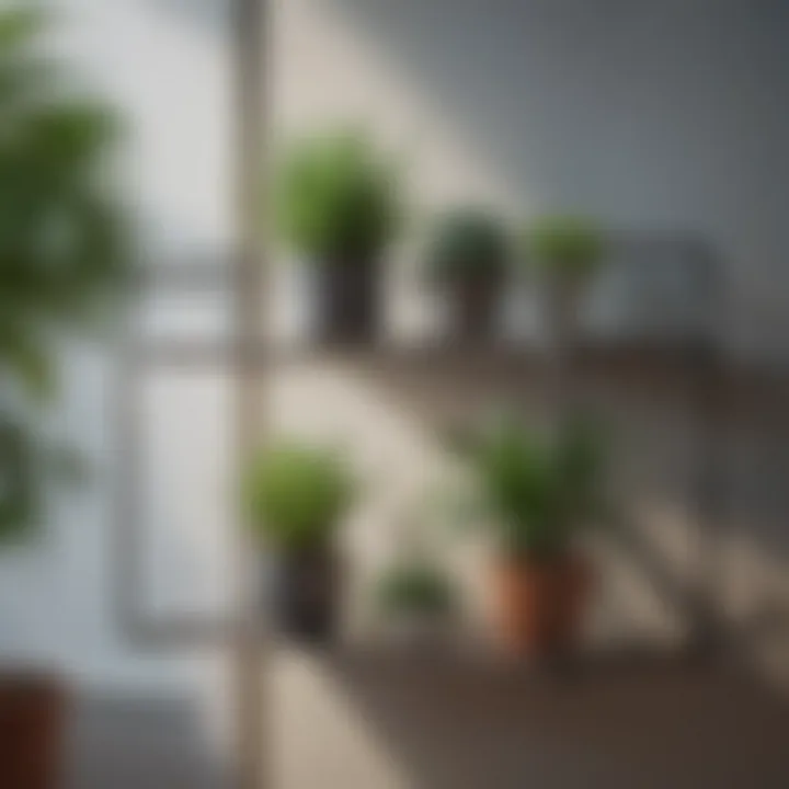 Modern metal display shelf with plants and artwork