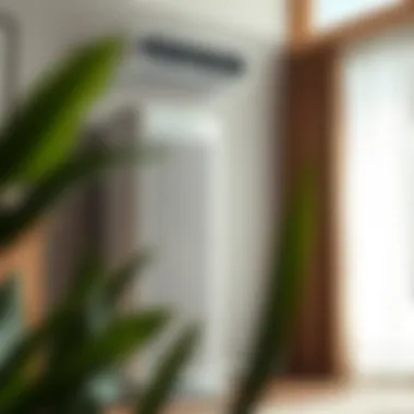 Notable Exploring the Best Home Air Purifiers for Enhanced Indoor Air Quality Notable Exploring the Best Home Air Purifiers for Enhanced Indoor Air Quality