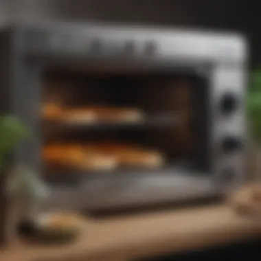 Mini oven with deliciously prepared dishes inside