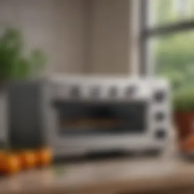 Exploring the Breville Toaster Oven Air Fryer 900: A Comprehensive Guide Introduction