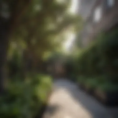 Urban Garden with Shade-Tolerant Tree Species Urban garden featuring shade-tolerant tree species