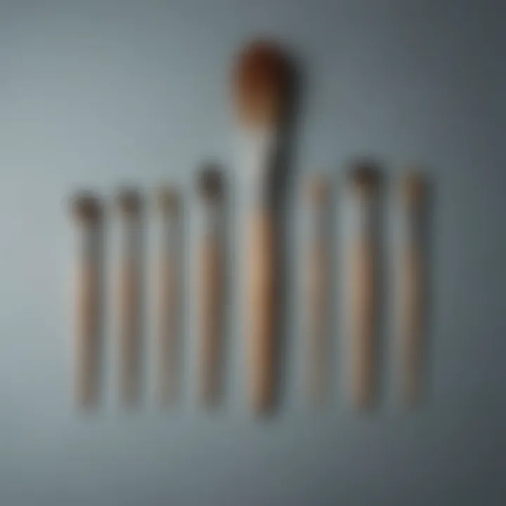 A collection of door paint brushes arranged by shape, highlighting their specific uses in painting projects.
