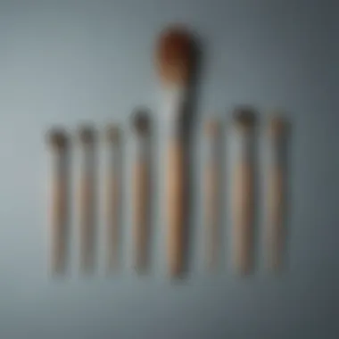 Brush Shapes and Their Applications A collection of door paint brushes arranged by shape, highlighting their specific uses in painting projects.