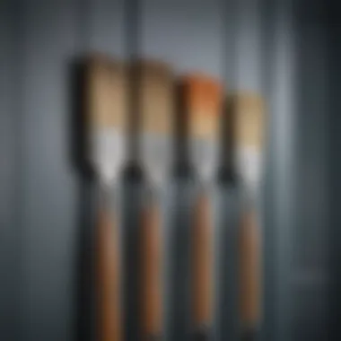 Close-up view of different types of door paint brushes showcasing their unique bristle materials.