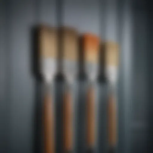Close-up view of different types of door paint brushes showcasing their unique bristle materials.