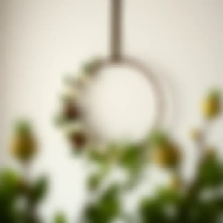 Minimalist wreath design with a focus on simplicity and elegance