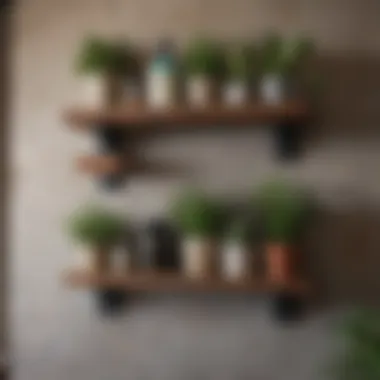 Rustic wooden shelves adorned with decorative plants and art pieces