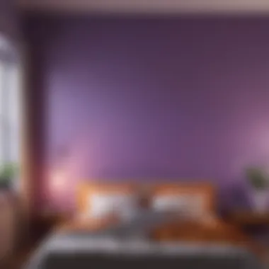 Violet Walls with Complementary Colors Violet painted walls paired with complementary colors