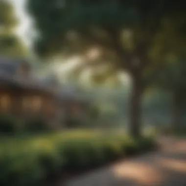 Beautiful Residential Landscape with Shade Trees A serene residential landscape enhanced by shade trees