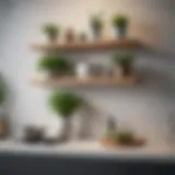 Minimalist floating shelves showcasing kitchen decor and plants