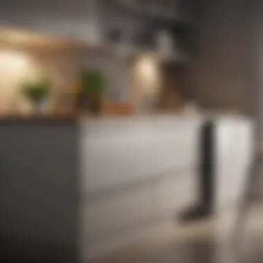 Contemporary Storage Solutions Innovative storage solutions in a contemporary kitchen