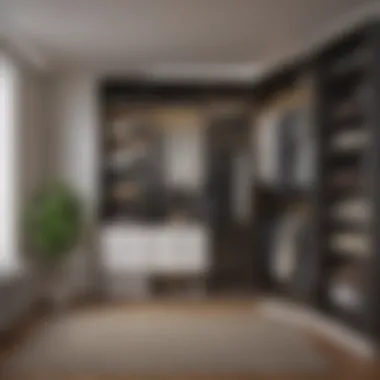 Design Principles for Optimizing Small Closets Creative design principles for small closet optimization