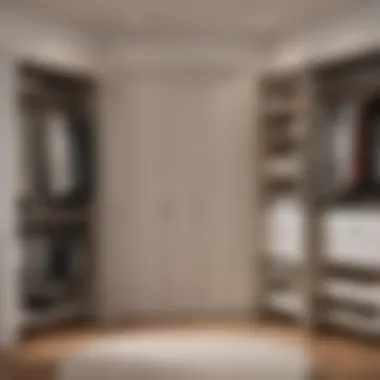 Transformation of a Small Closet Space Before and after transformation of a small closet