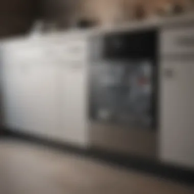 User-friendly control panel of a dishwasher