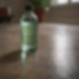 A natural cleaning solution made from vinegar and water for mold removal.