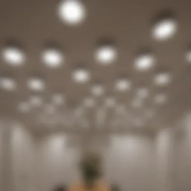 Array of Ceiling Lights A stylish array of ceiling lights showcasing various designs and styles