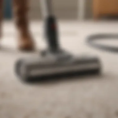 Vacuum cleaner removing baking soda from the carpet