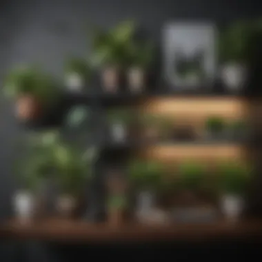 Aesthetic Display of Plants and Artwork Aesthetic display of plants and artwork on open shelves