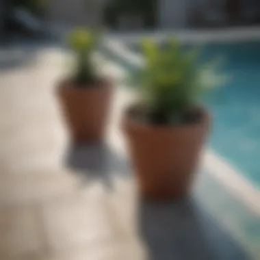 Elegant Potted Plants Enhancing Poolside Serenity Elegant potted plants placed around a serene swimming pool