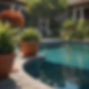 Vibrant Flora Enhancing Poolside Atmosphere Vibrant flora creating a lush atmosphere near a pool