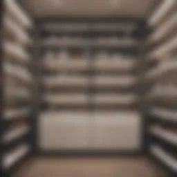 Custom built-in closet with stylish shelving