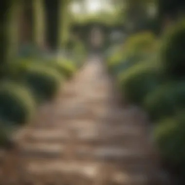 Rustic Gravel Pathway Through a Lush Garden A rustic gravel pathway meandering through a lush garden.