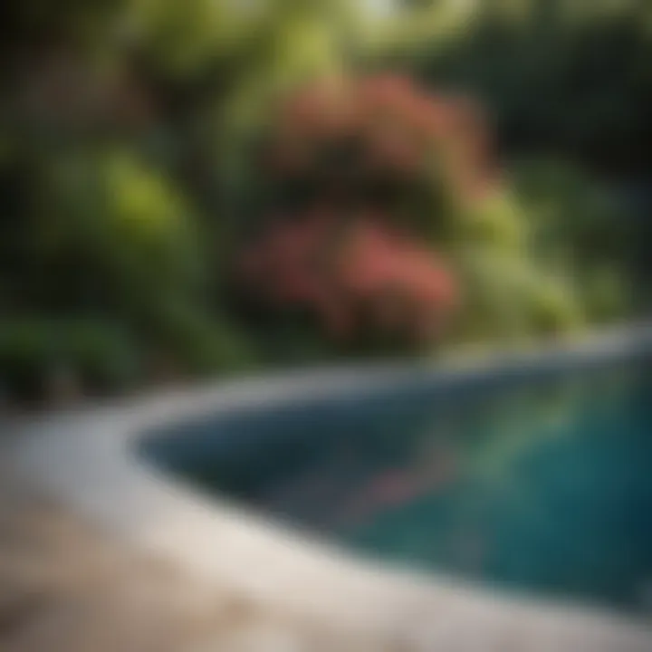 Vibrant flowering plants accentuating the pool's edge