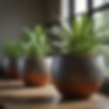 Close-up view of plants thriving in side-lying pots