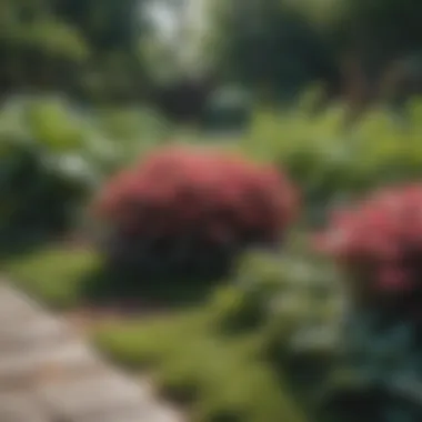 Plant Selection for Flat Yards Close-up of selected plants arranged in a flat garden bed