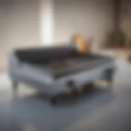 Elegant design of a large gas griddle showcasing its sleek surface.