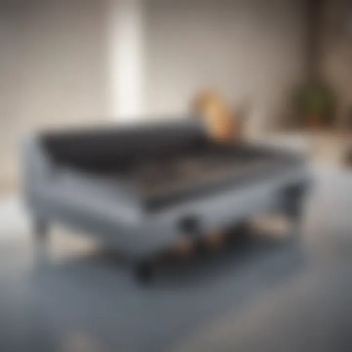Elegant design of a large gas griddle showcasing its sleek surface.